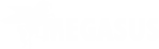 MEGASUS Metallverarbeitung in Hilden Logo
